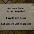Luchsmann