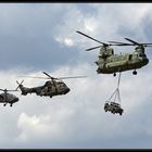 Luchtmachtdagen 09: Chinook, Cougar und Apache