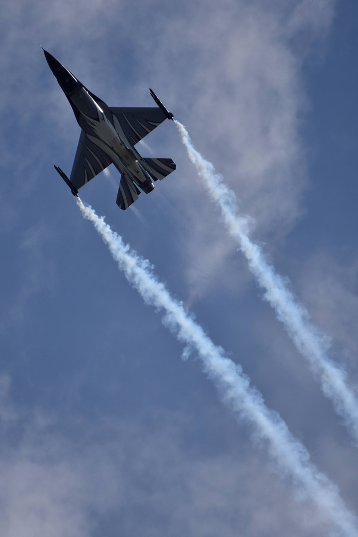 Luchtmachtdagen 2019 Volkel 80