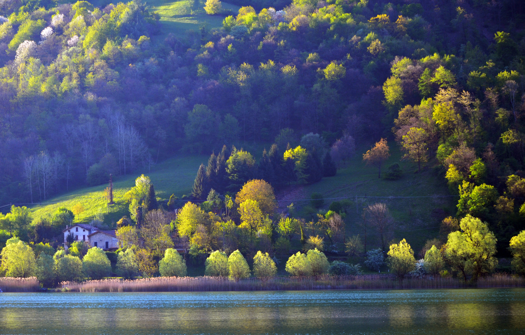 luci del mattino in primavera