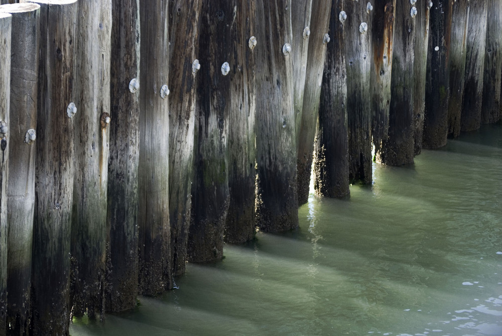 luci e ombre sul mare di san francisco