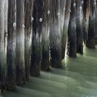 luci e ombre sul mare di san francisco