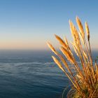 Lucia, Big Sur