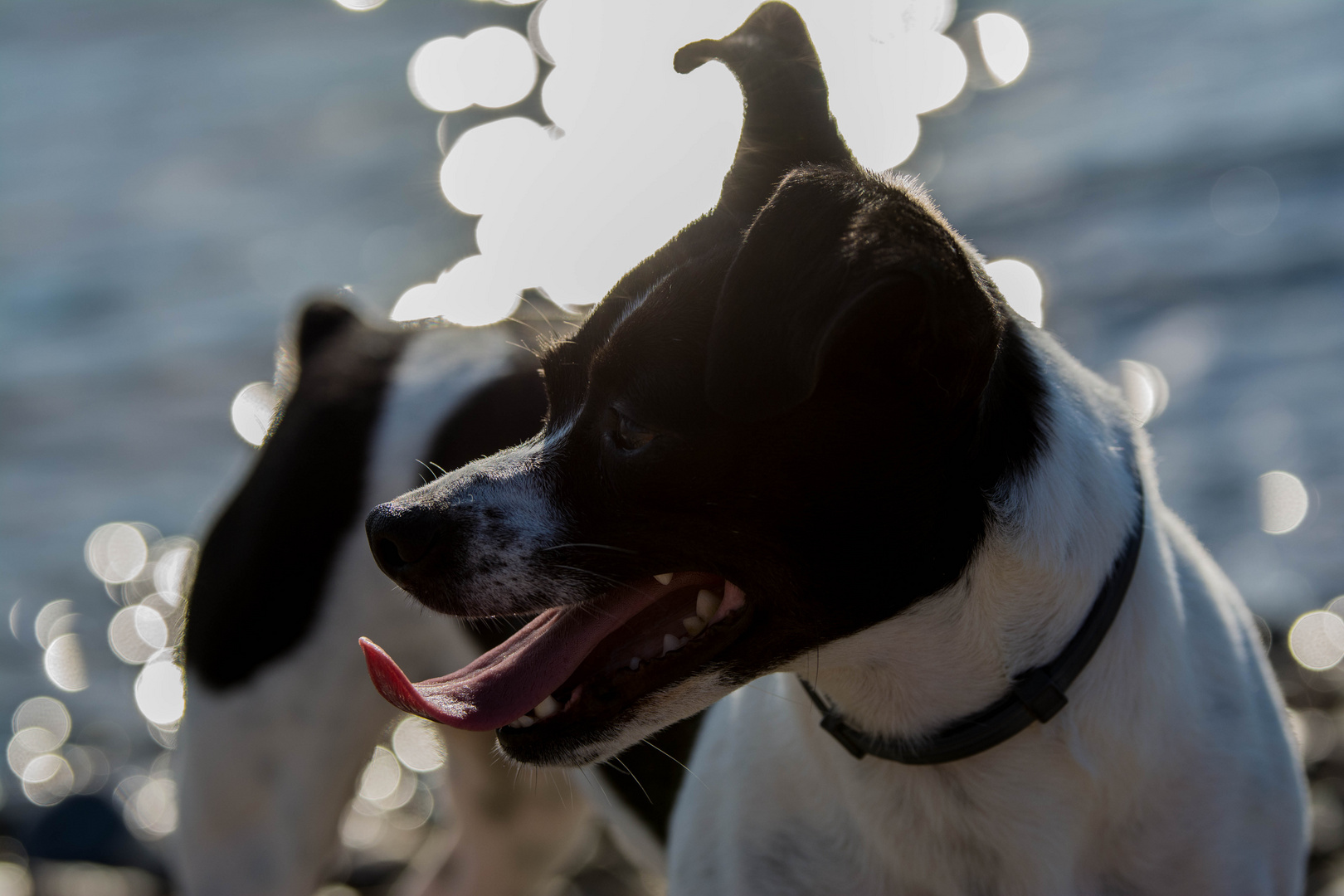 Lucie am Rhein