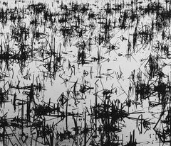 Lucien Clergue CAMARGUE 