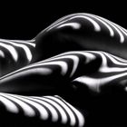 Lucien Clergue