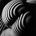 Lucien Clergue