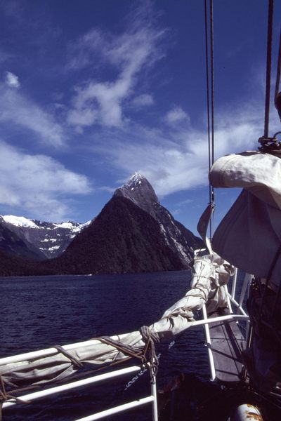 Lucky am Milford Sound