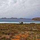 Lucky Bay