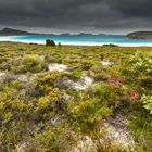 Lucky Bay