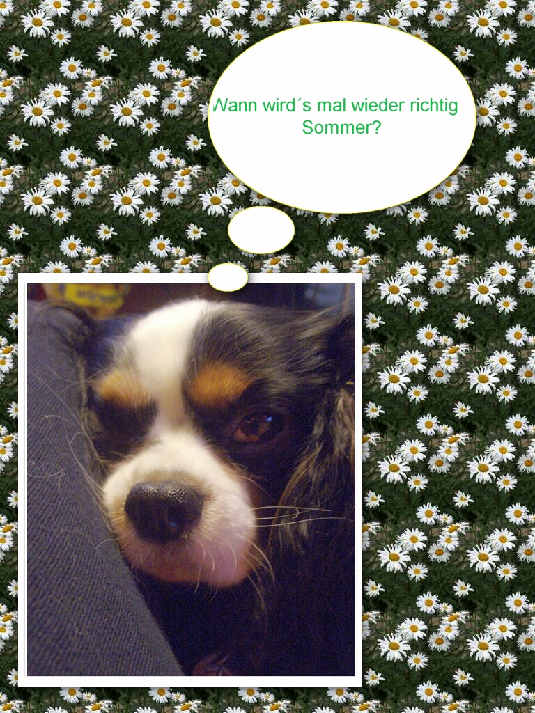 Lucky ist traurig!