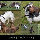 Lucky meets Lucky