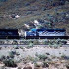 Lucky Shot ! Union Pacific UP#3300 Pulling for United Way, Cajon Area, CA