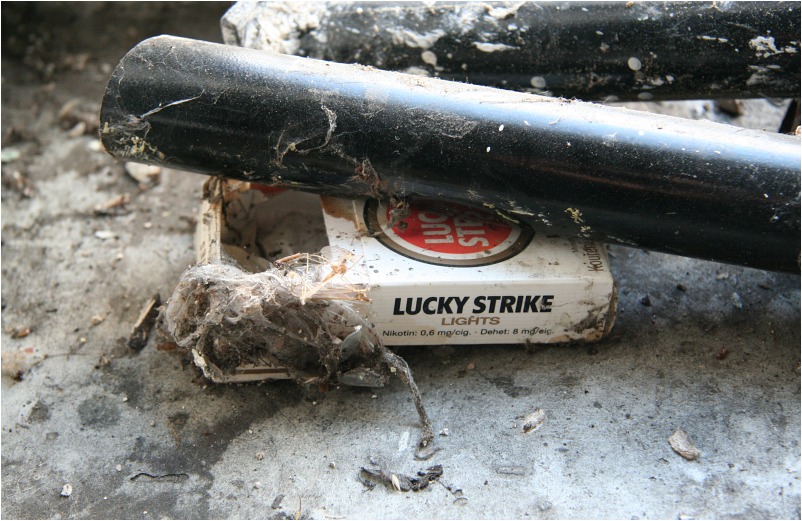 Lucky Strike.