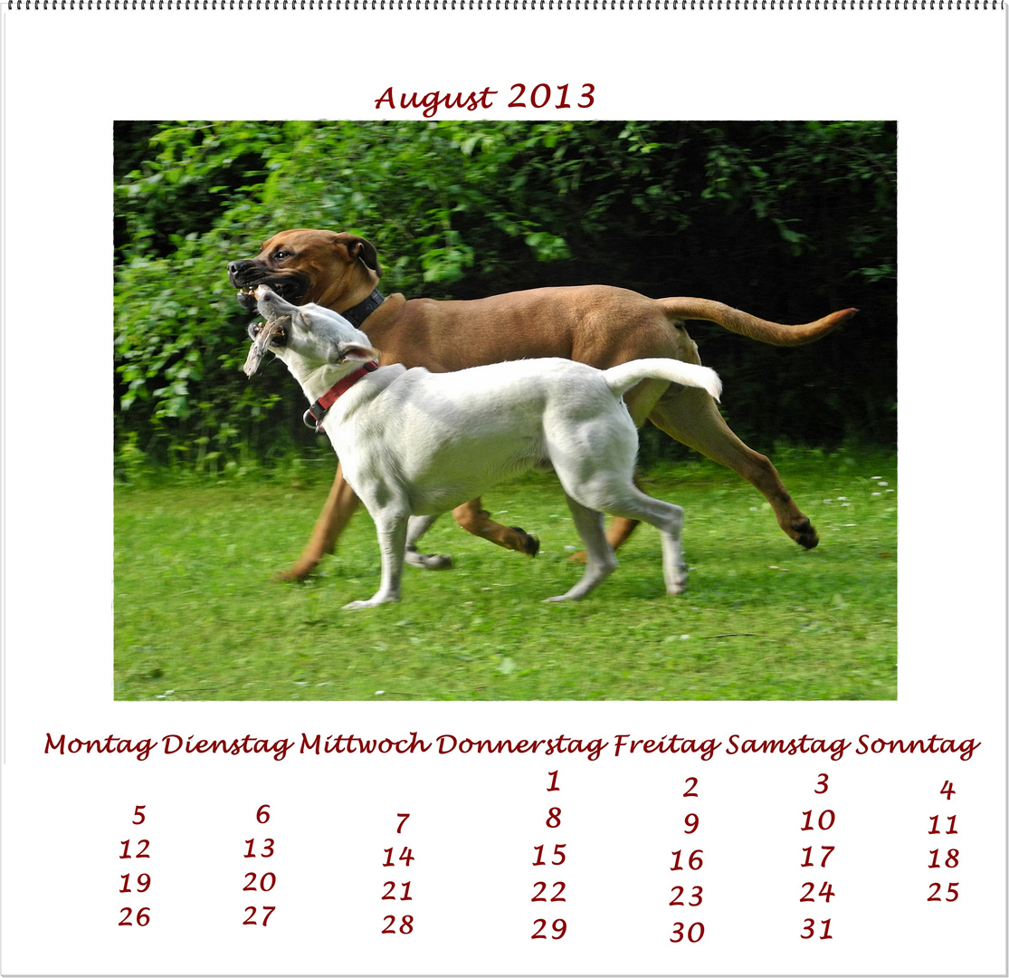 Lucky´s Fotokalender August 2013