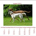 Lucky´s Fotokalender August 2013