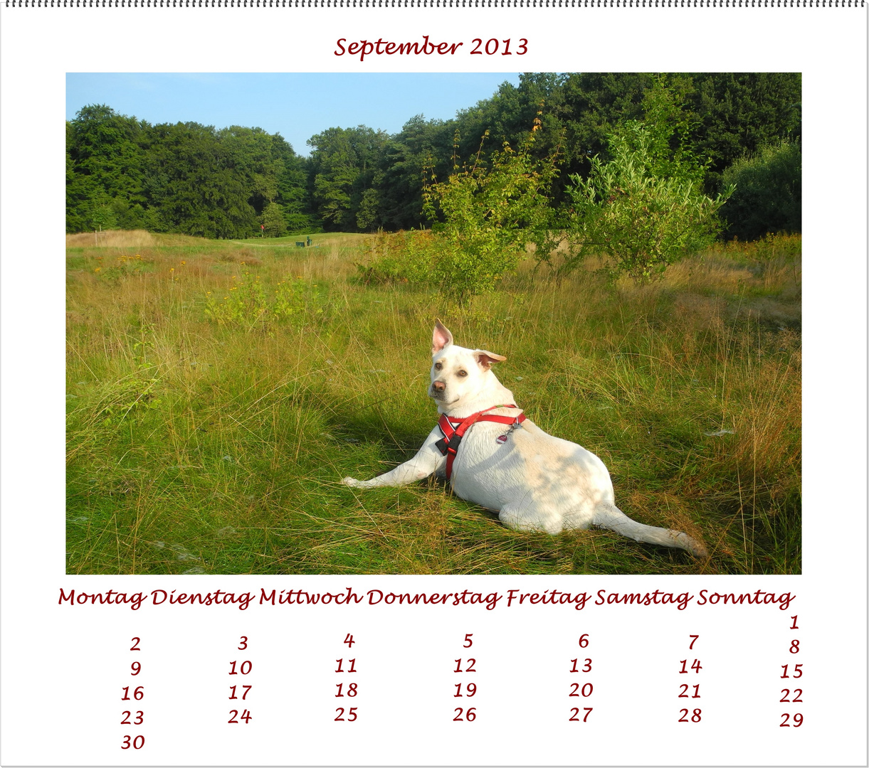 Lucky´s Fotokalender September 2013