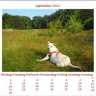 Lucky´s Fotokalender September 2013