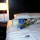 Luc's Hotelbettentest (3)