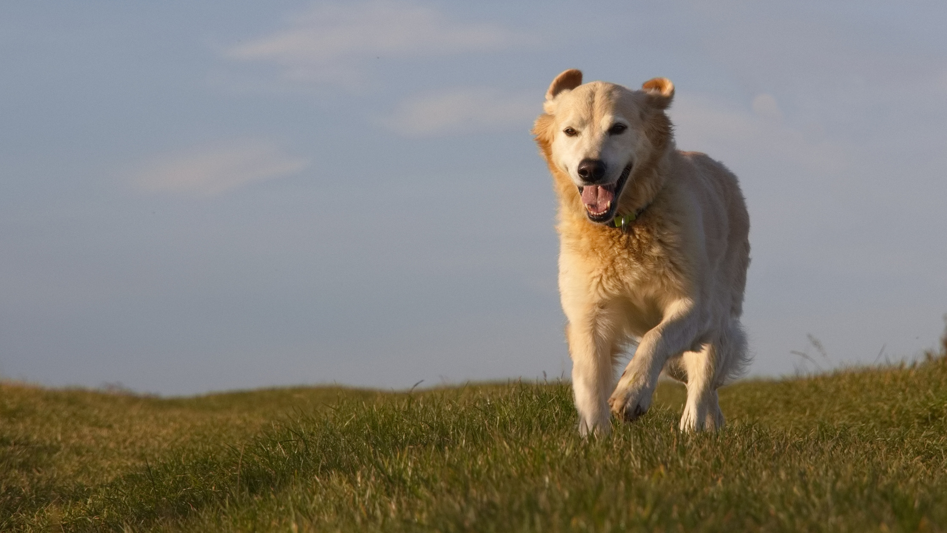 Lucy im Anflug