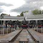 Lucy im Anmarsch bzw. in der Anfahrt