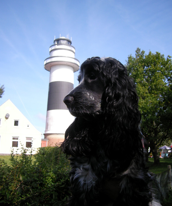 Lucy mit Leuchtturm