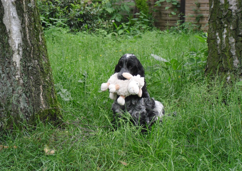 Lucy mit Plüschschaf