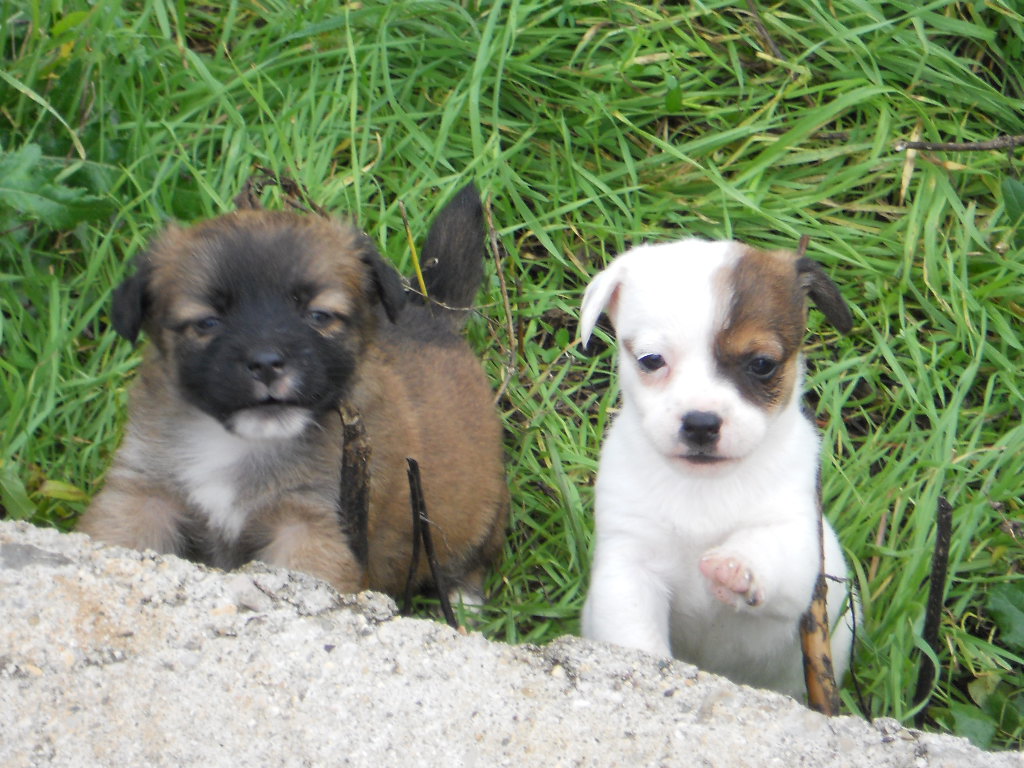 Lucy und Deberly auf der Pirsch!