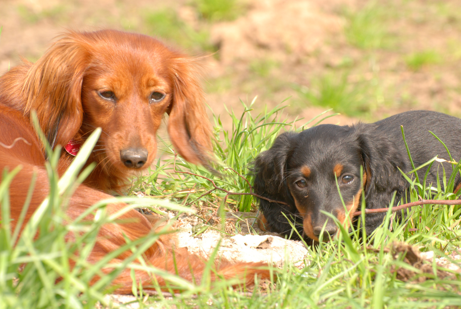 Lucy und Flo