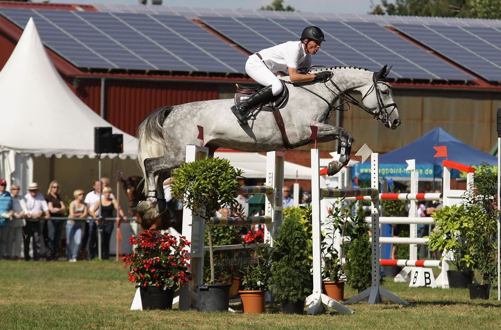 Ludger Beerbaum S-Springen Rheine Wadelheim