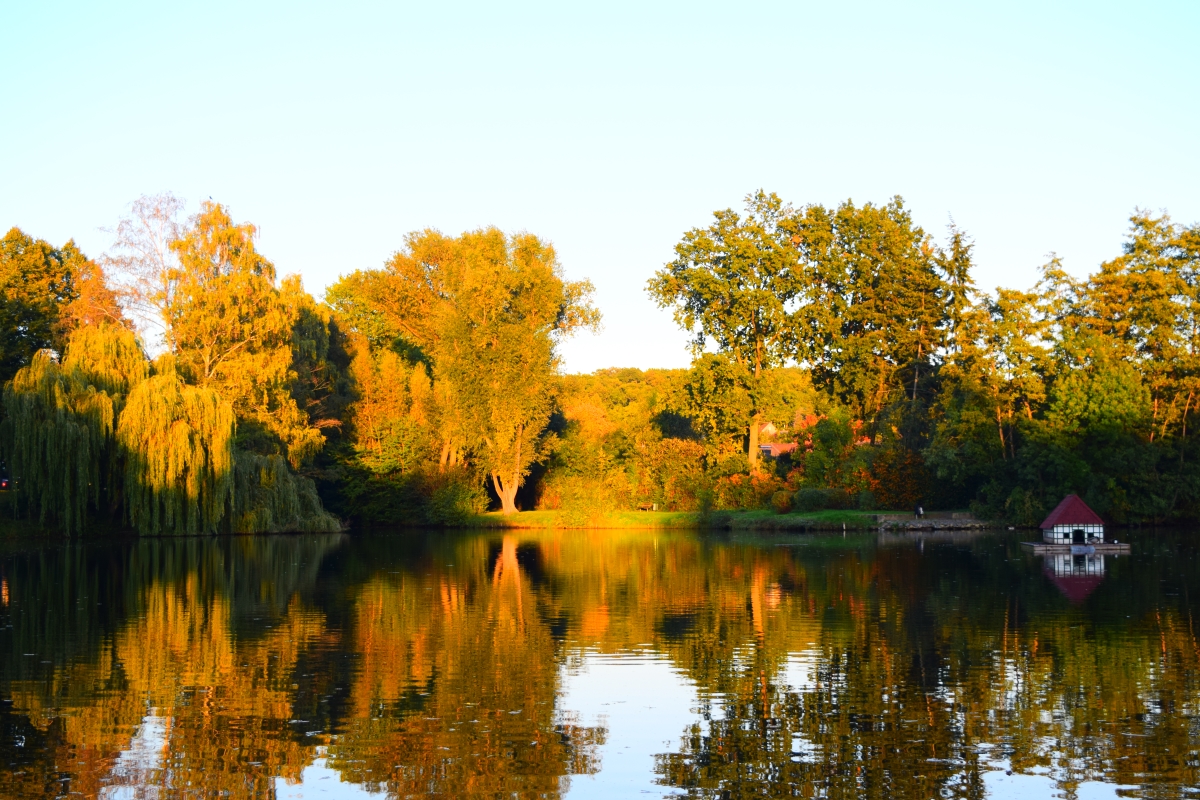 Ludgeri-Teich im Herbstlicht