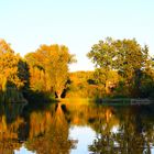 Ludgeri-Teich im Herbstlicht