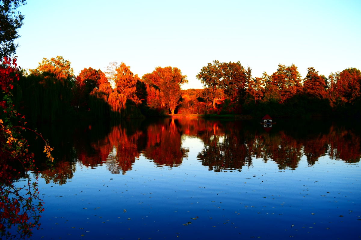 Ludgeri-Teich in leuchtenden Farben