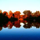 Ludgeri-Teich in leuchtenden Farben