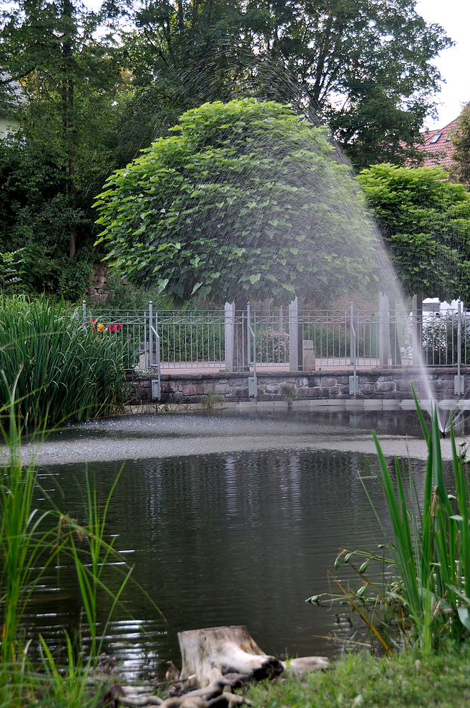 Ludin Garten in Wehr/Baden 2. Foto & Bild deutschland, europe, baden