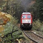 Ludmilla allein im Wald