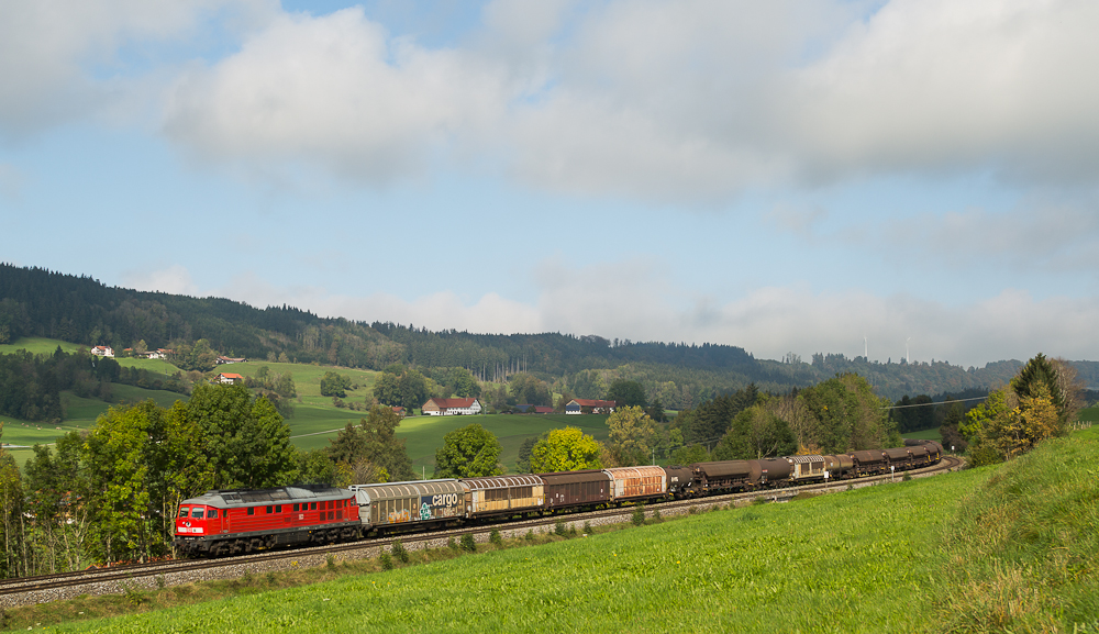 Ludmilla im Allgäu (1)