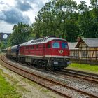 Ludmilla im Bahnhof Barthmühle