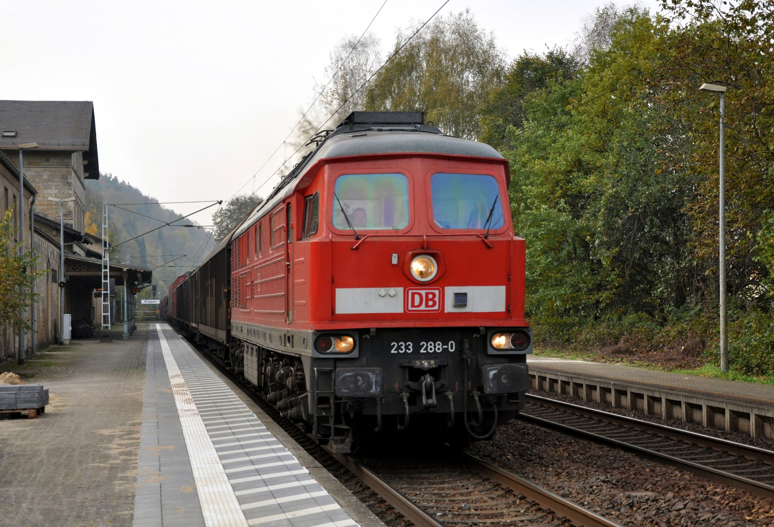 Ludmilla im Elbtal