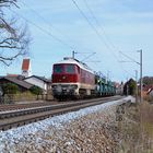 Ludmilla in Oberbayern ...