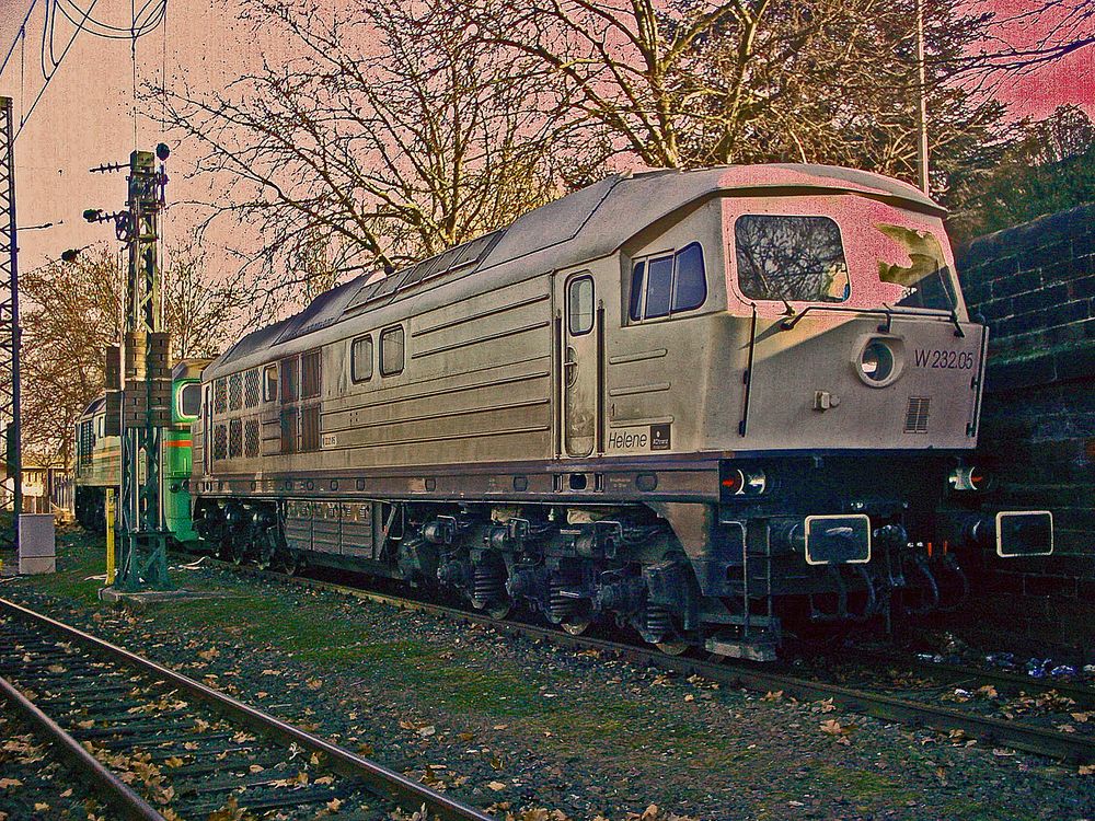 Ludmilla und TaigaTrommel Foto & Bild dampf, diesel und eloks