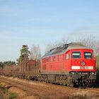 Ludmilla,Sonne und warme Temperaturen - was will man als Eisenbahnfreund mehr?