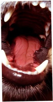 ludnypäwaktenxkofjrsnrtjs(((sathiya)))apcskrvizlmyudefcueqjh