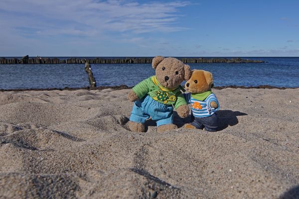 Ludwig 2 und Winnie an der Ostsee