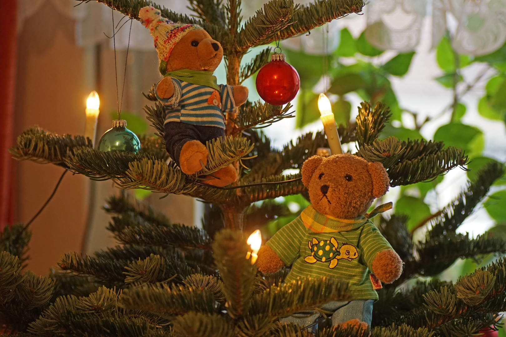 Ludwig 2 und Winnie beim Weihnachtsbaum schmücken