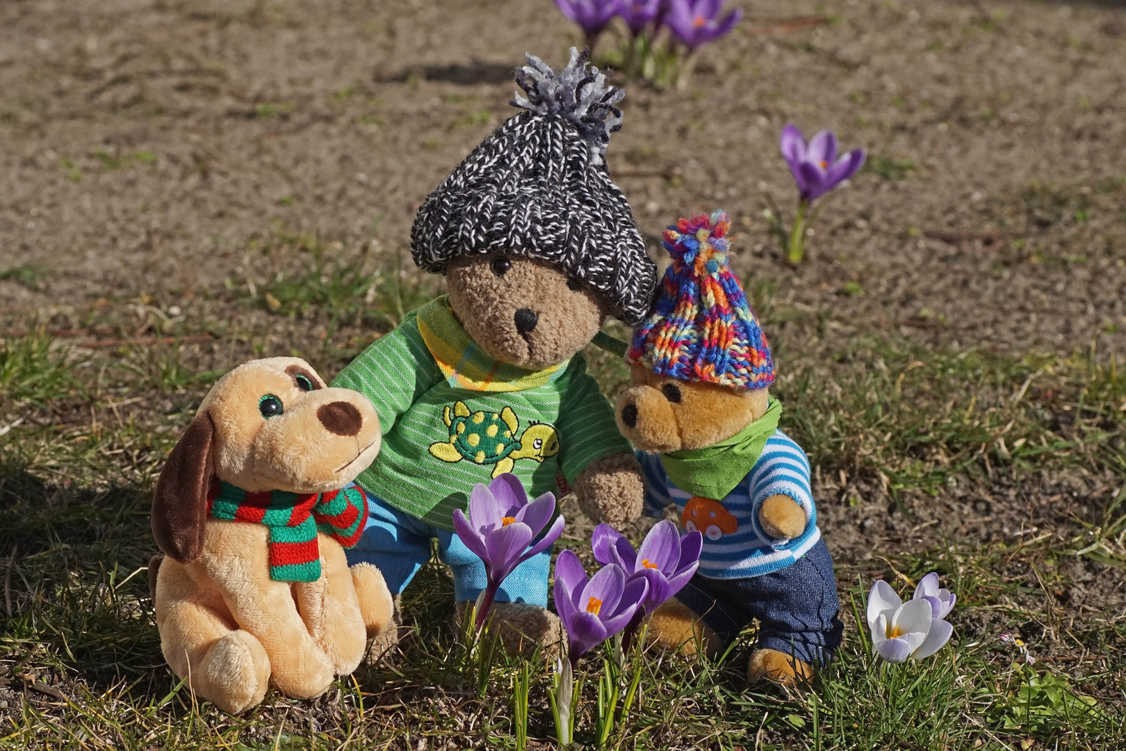 Ludwig 2, Winnie und Willi Wuff entdecken den Frühling