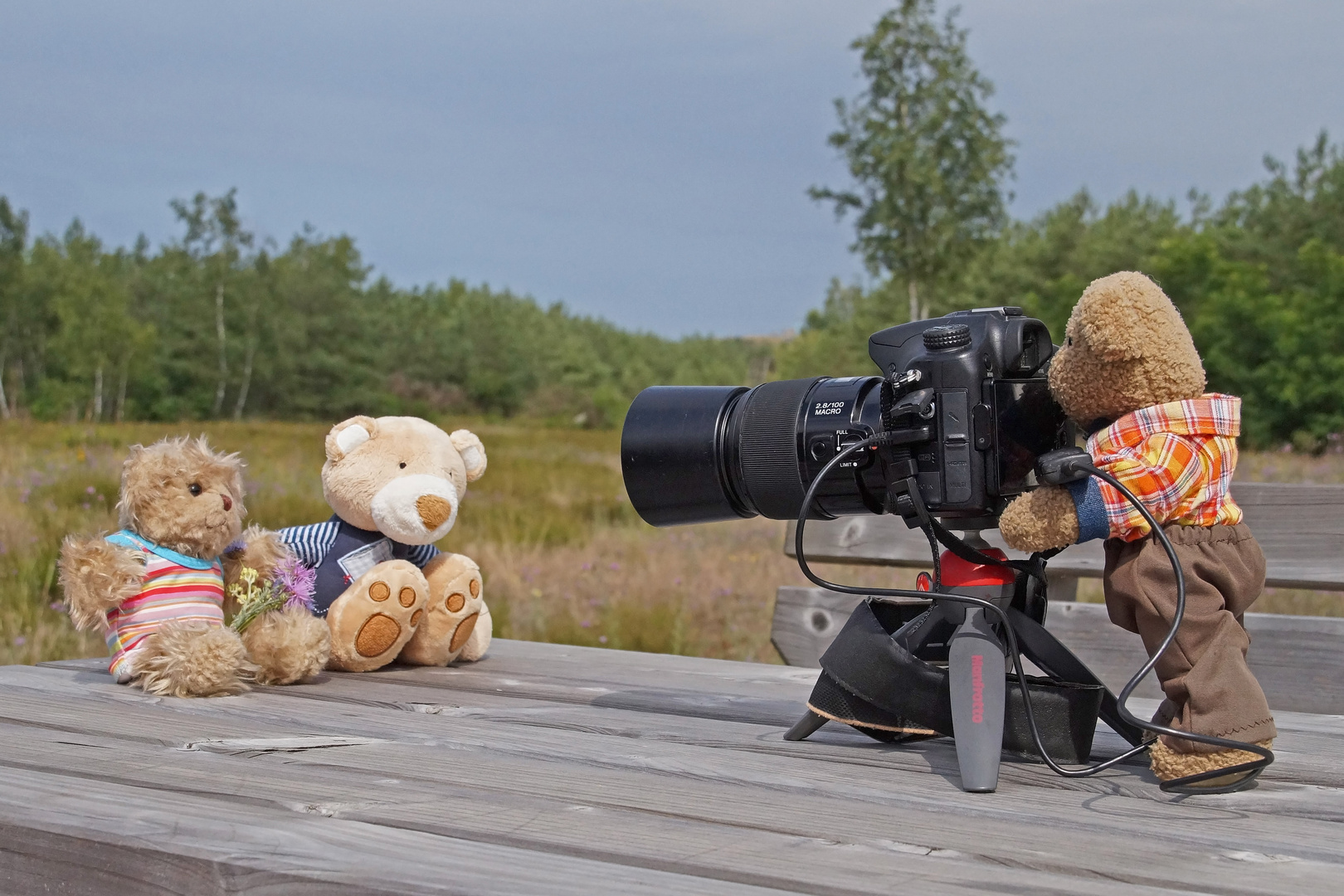 Ludwig als Fotograf