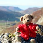 Ludwig auf dem Jungfraufelsen