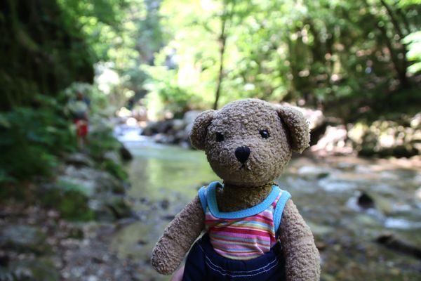 Ludwig geht planschen