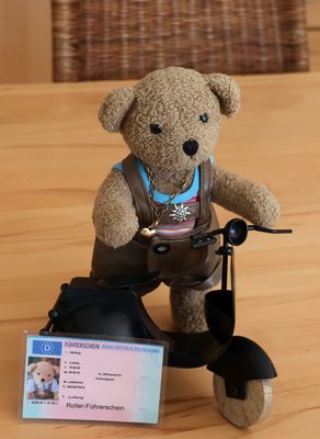 Ludwig hat den Führerschein